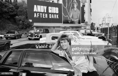 462 Andy Gibb Photos Stock Photos & High